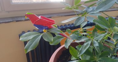 Отворена изложба радова наших полазника посвећена свету животиња